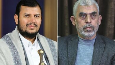 Yemen's Houthi Leader Vows Increased Support for Palestine /Yemen , Houthi , Palestine , Hamas , Al-Aqsa Storm