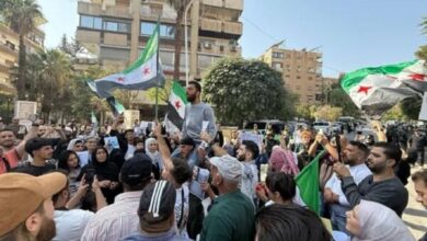 Syrian Activists Condemn Israeli Aggression on Southern Regions, Demand International Support /Syria , Israel , Aggression , Human Rights , International Law