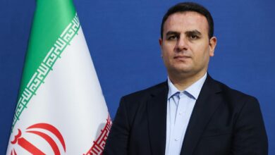 Iran Proposes Four Reforms for Global Economic Governance at G-24 Meeting /G-24 , IMF , World Bank , climate finance , economic governance