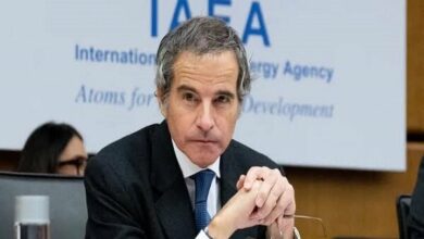 Grossi Urges Diplomatic Deal for Iran's Nuclear Program /Iran nuclear program , Rafael Grossi , IAEA , diplomatic solution , United Nations