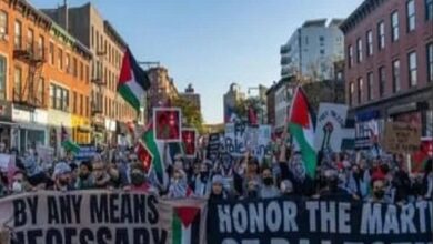 Pro-Palestine Demonstrations Held in Los Angeles, Luxembourg, and Amsterdam /Palestine , Gaza , Los Angeles , Luxembourg , Amsterdam