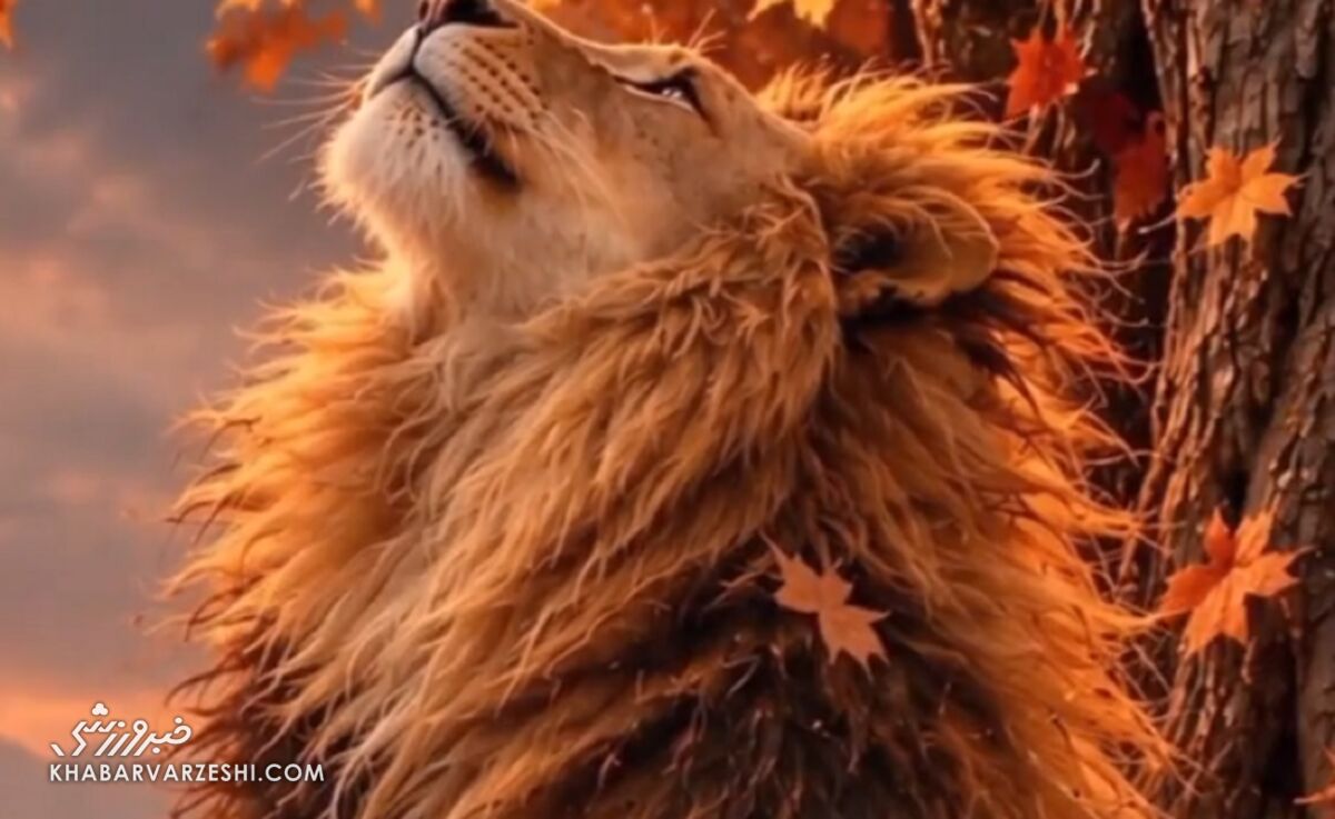 چراغ سبز اولیه از سازمان لیگ برای افزایش احتمالی سقف بودجه