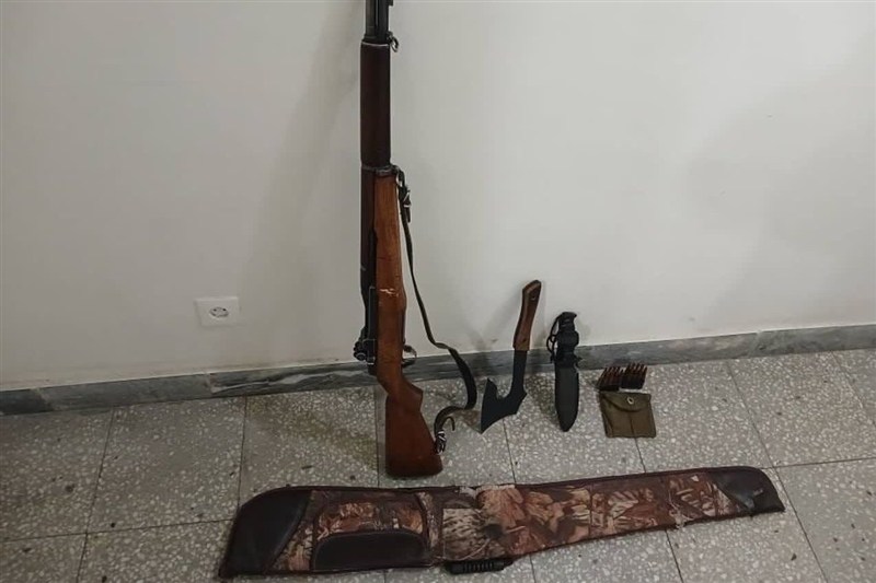 2 شکارچی غیرمجاز در شاهرود با لاشه میش وحشی دستگیر شدند