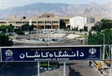 توضیحات رئیس دانشگاه کاشان در مورد "کِرم" در غذای سلف+فیلم