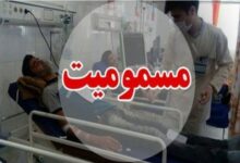 ثبت 1775 بیمار مسموم در جهرم/ عقرب و الکل در صدر آمار