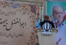 محسنی‌ثانی:به برکت نام بیهقی خطه بیهق جهانی شده است