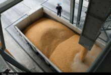 نخستین محموله صادراتی منطقه آزاد مازندران راهی بازار همسایه شد
