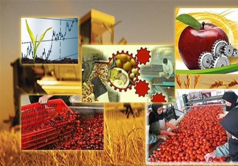 یادداشت| چرا کشاورزی چهارمحال و بختیاری به صنایع تبدیلی نیاز دارد؟