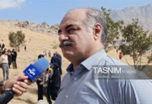 تدوین سند مدیریت پایدار جنگل‌های زاگرس در آستانه ابلاغ