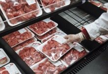 پیش‌بینی مدیرعامل اتحادیه دام سبک: کمبود گوشت قرمز تا پایان سال نداریم/ قیمت منطقی لاشه گوسفندی اعلام شد