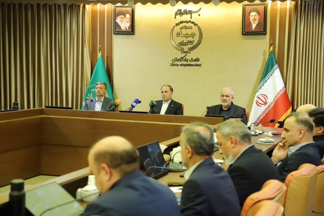 تاکید بر جهش تولید در دیمزارها؛ راهبرد کلیدی امنیت غذایی کشور