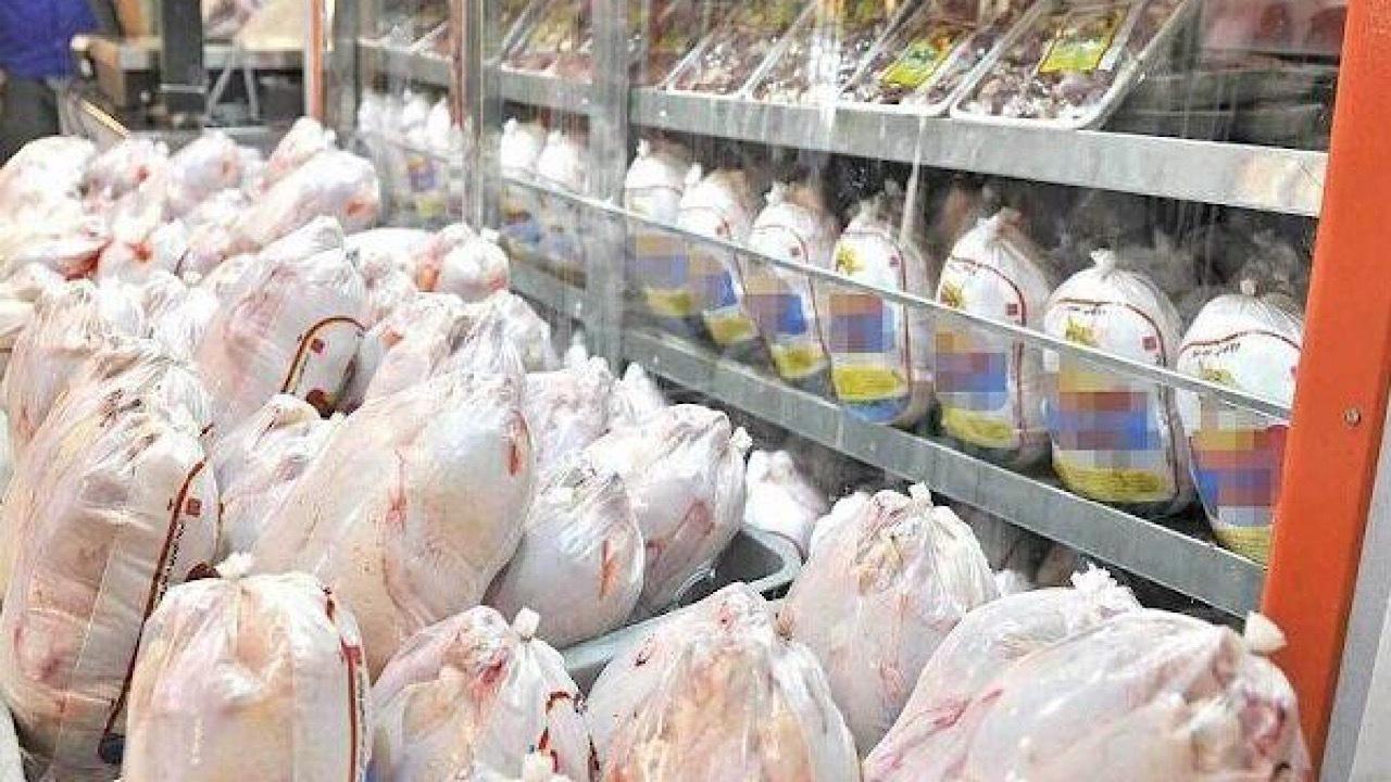 رشد هزینه‌های نهاده‌های دامی، تولیدکنندگان مرغ را زیان‌ده کرد؛ صادرات ناچیز است
