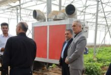 رتبه دوم کشوری چهارمحال و بختیاری در تولید سیبزمینی بذری