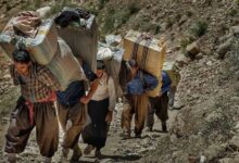 چه کالاهایی ازخراسان جنوبی صادرمی شوند؟/رشد صادرات با دیپلماسی اقتصادی