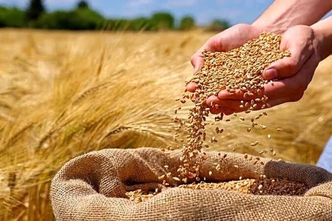 انتقاد از شورای قیمت‌گذاری؛ مشاور اتاق تعاون: حمایت از تولید فراتر از تعیین نرخ محصولات است