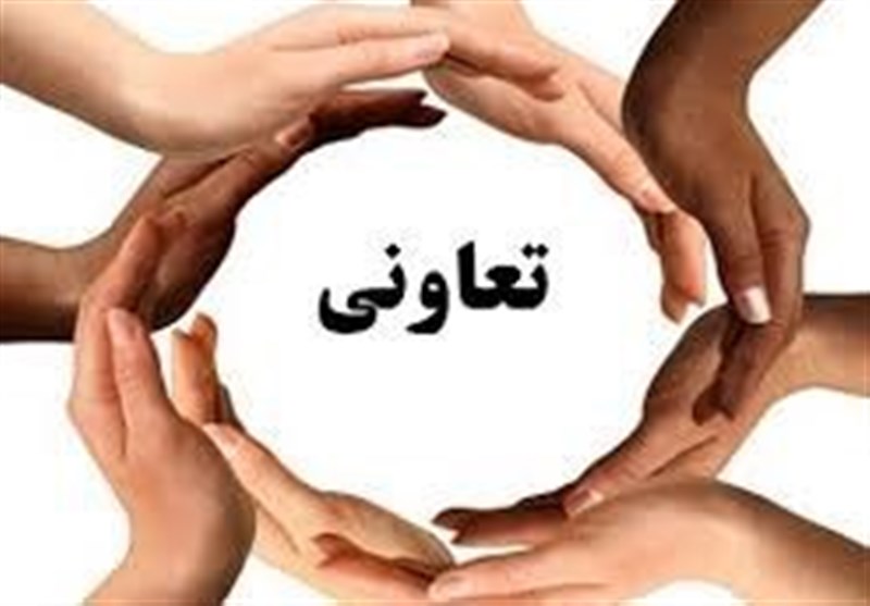 تعاونی‌های استان زنجان برای 18 هزار نفر فرصت شغلی ایجاد کردند
