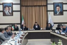 ظرفیت نیروگاههای تجدیدپذیر خراسان رضوی به 418 مگاوات رسید