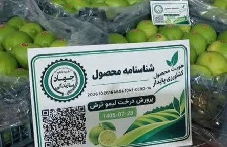 اجرای شناسنامه‌دار کردن محصولات کشاورزی/ برچسب‌گذاری خرما و لیموترش