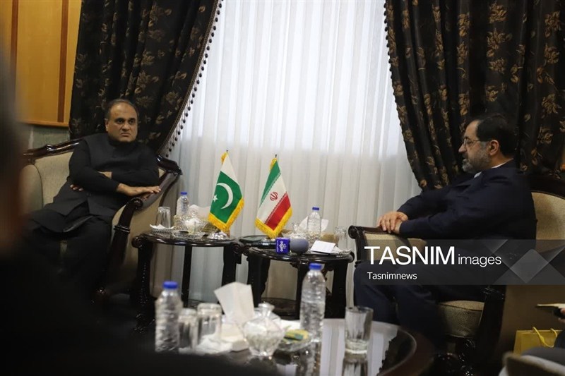 تقویت ارتباطات مردمی محور توسعه روابط ایران و پاکستان است