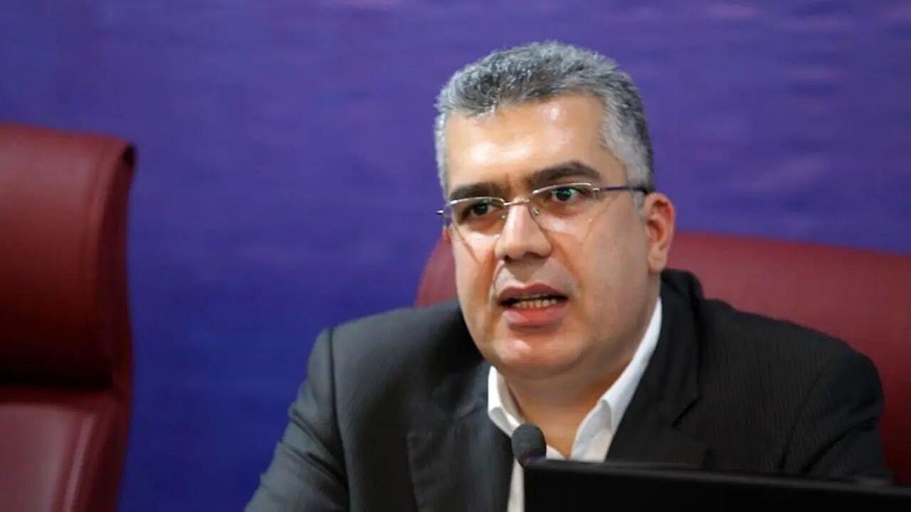 سازمان توسعه تجارت: حمایت از تولید نباید منافع گروه‌های خاص را تثبیت کند