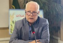 ابلاغ کشت 133 هزار هکتار گندم دیم در خراسان رضوی