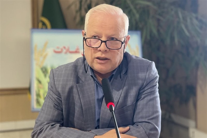 ابلاغ کشت 133 هزار هکتار گندم دیم در خراسان رضوی