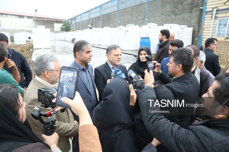 فرآوری کامل تنها 12 درصد از زیتون تولیدی طارم