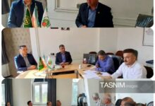 ثمین غفاری رئیس اتاق اصناف شهرستان سنندج شد