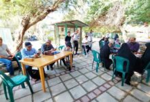 پیوند هنر و طبیعت با مشارکت هنرمندان و کودکان بوشهری