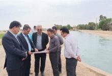 سامانه گرمسیری، کلید طلایی تحول کشاورزی مرزهای ایلام