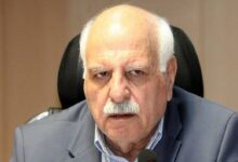 تسهیل صادرات محصولات صنفی به همسایگان و آفریقا؛ نوده فراهانی از توافق با سازمان توسعه تجارت خبر داد