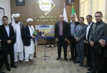 خراسان جنوبی پایلوت بیمه افت تولید دام سبک مولد عشایری شد