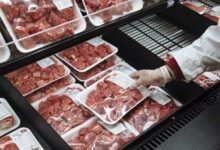 کاهش جذابیت اقتصادی واردات گوشت در پی ثبات تولید داخلی و نوسانات نرخ ارز