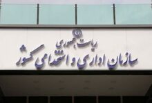 راهکارهای ساماندهی نیروهای شرکتی در دستگاه‌های اجرایی؛ از شفافیت پرداخت تا پرداخت مستقیم حقوق