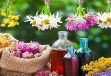تکمیل زنجیره ارزش گیاهان دارویی؛ اولویت اقتصادی خراسان‌شمالی