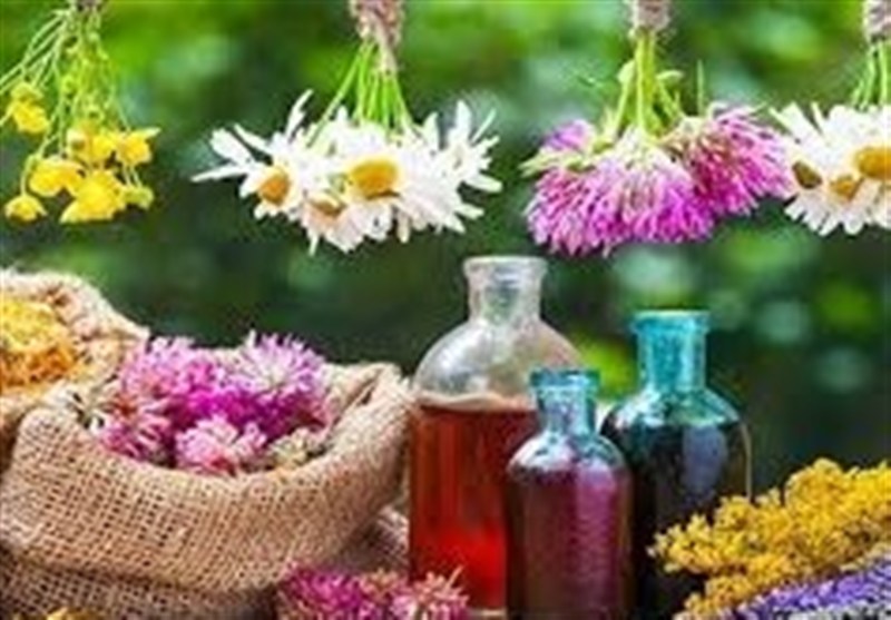 تکمیل زنجیره ارزش گیاهان دارویی؛ اولویت اقتصادی خراسان‌شمالی