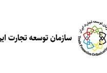 شفاف‌سازی سازمان توسعه تجارت درباره توقف ثبت سفارش خودرو و قوانین واردات