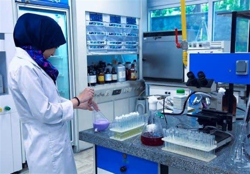 آلودگی احتمالی آبزیان چابهار به فلزات سنگین بررسی می‌شود