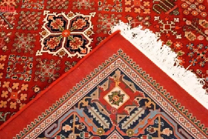 شاهین شهر و میمه؛ از دود کارخانه تا عطر باغ‌های میمه