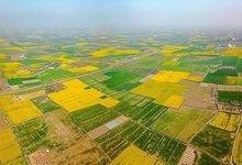 پیشتازی زنجان در یکپارچهسازی اراضی کشاورزی
