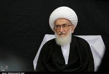 هشدار آیتالله العظمی نوریهمدانی به حکام منطقه در پی حبس و اعدام علما