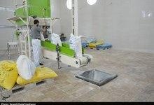 انتقاد مدیرکل غله مازندران از ناهماهنگی در توزیع آرد ساری