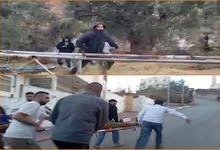حمله شهرک‌نشینان صهیونیست به خانواده فلسطینی در جریان برداشت زیتون