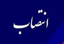 حجت‌الاسلام مهدی دُرّی مدیر مرکز اسلامی هرمزگان شد
