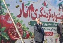 احمدآباد گرمسار با عطر انار به استقبال گردشگران رفت