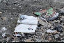 914 دانش‌آموز شهید در لرستان؛ «لاله‌های روشن» در مدارس برگزار می‌شود