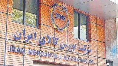 تکمیل زنجیره مس در بورس کالا با ورود گواهی سپرده کنسانتره؛ رازیانه نیز پذیرش شد