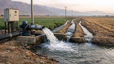 ثبت پیشرفت ۹۲ درصدی در اصلاح لوازم اندازه‌گیری چاه‌های کشاورزی