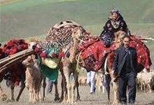 آغاز کوچ پاییزه عشایر خراسان رضوی به مناطق قشلاقی