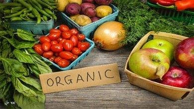 ضرورت تعیین ردیف بودجه اختصاصی برای توسعه محصولات کشاورزی ارگانیک در کشور